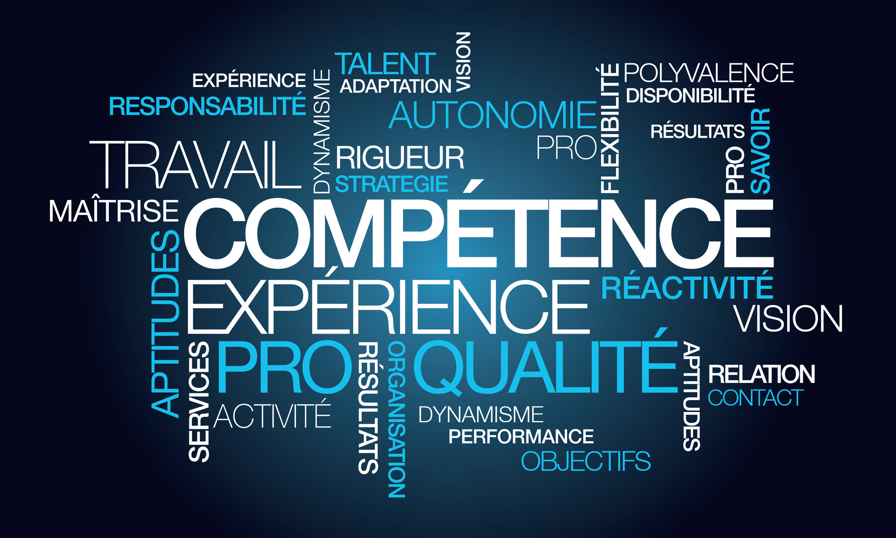 compétence expérience professionnelle emploi nuage de mots